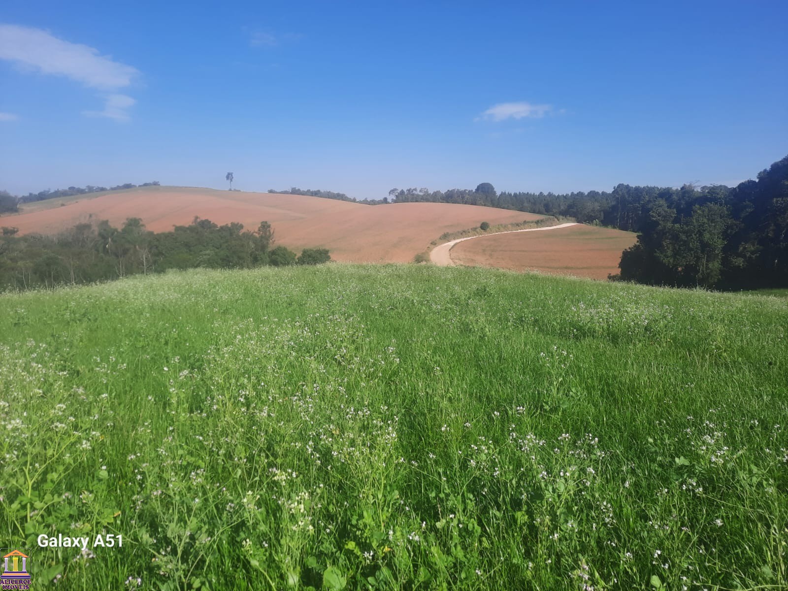 Terreno à venda, 78727m² - Foto 7