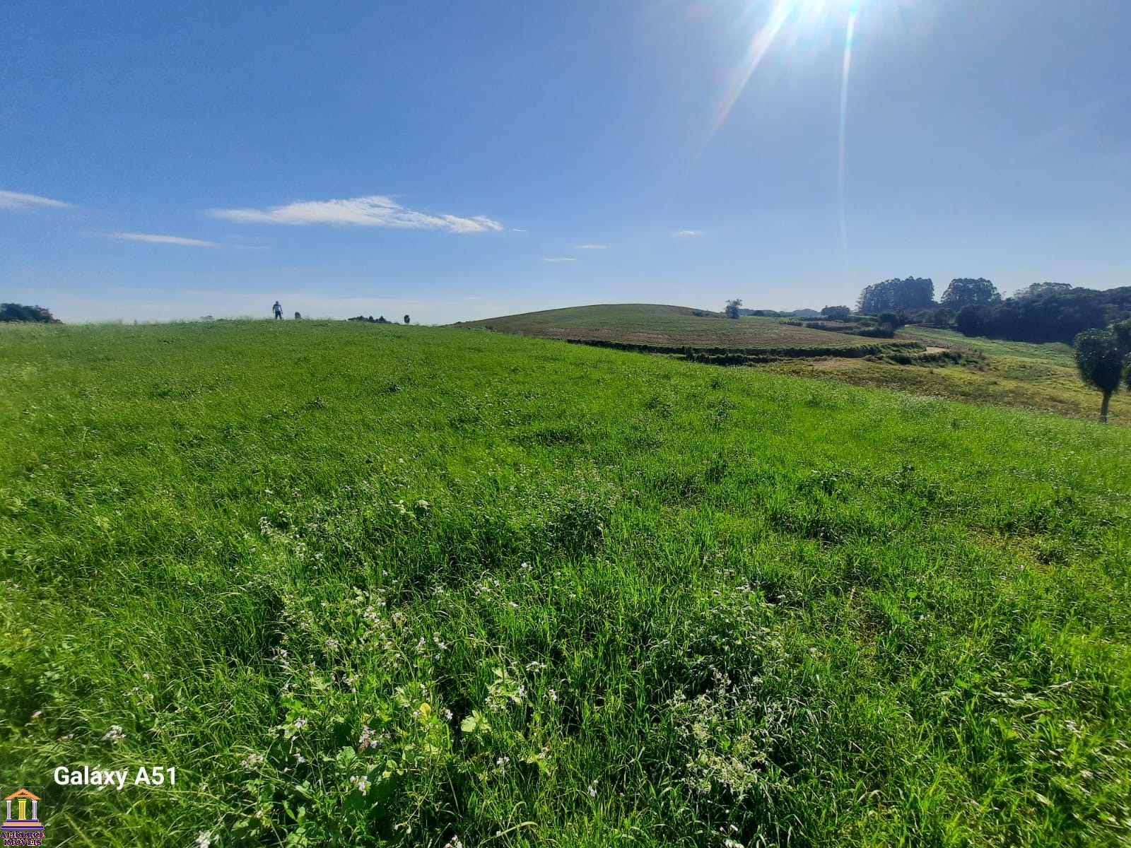 Terreno à venda, 78727m² - Foto 26