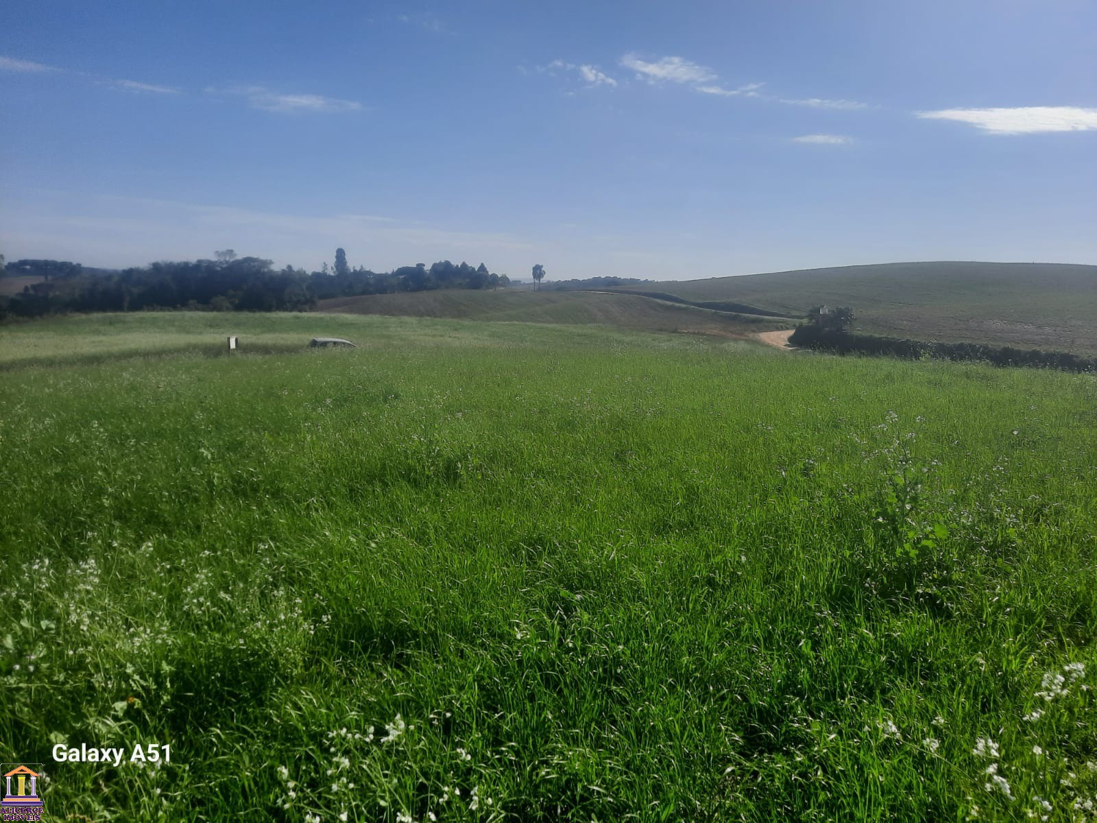 Terreno à venda, 78727m² - Foto 8