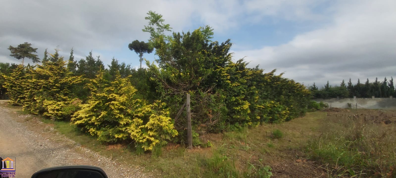 Fazenda à venda com 3 quartos, 100m² - Foto 30