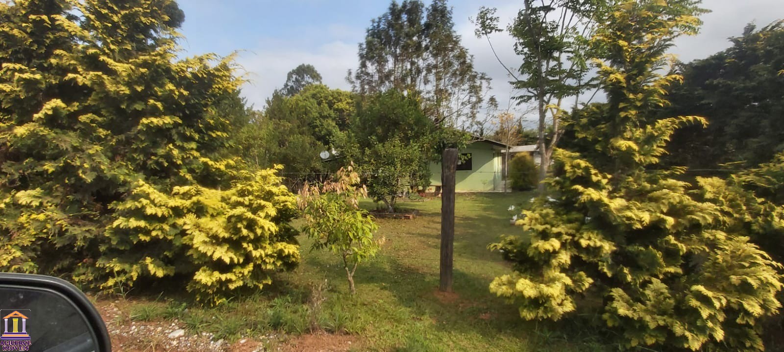 Fazenda à venda com 3 quartos, 100m² - Foto 4