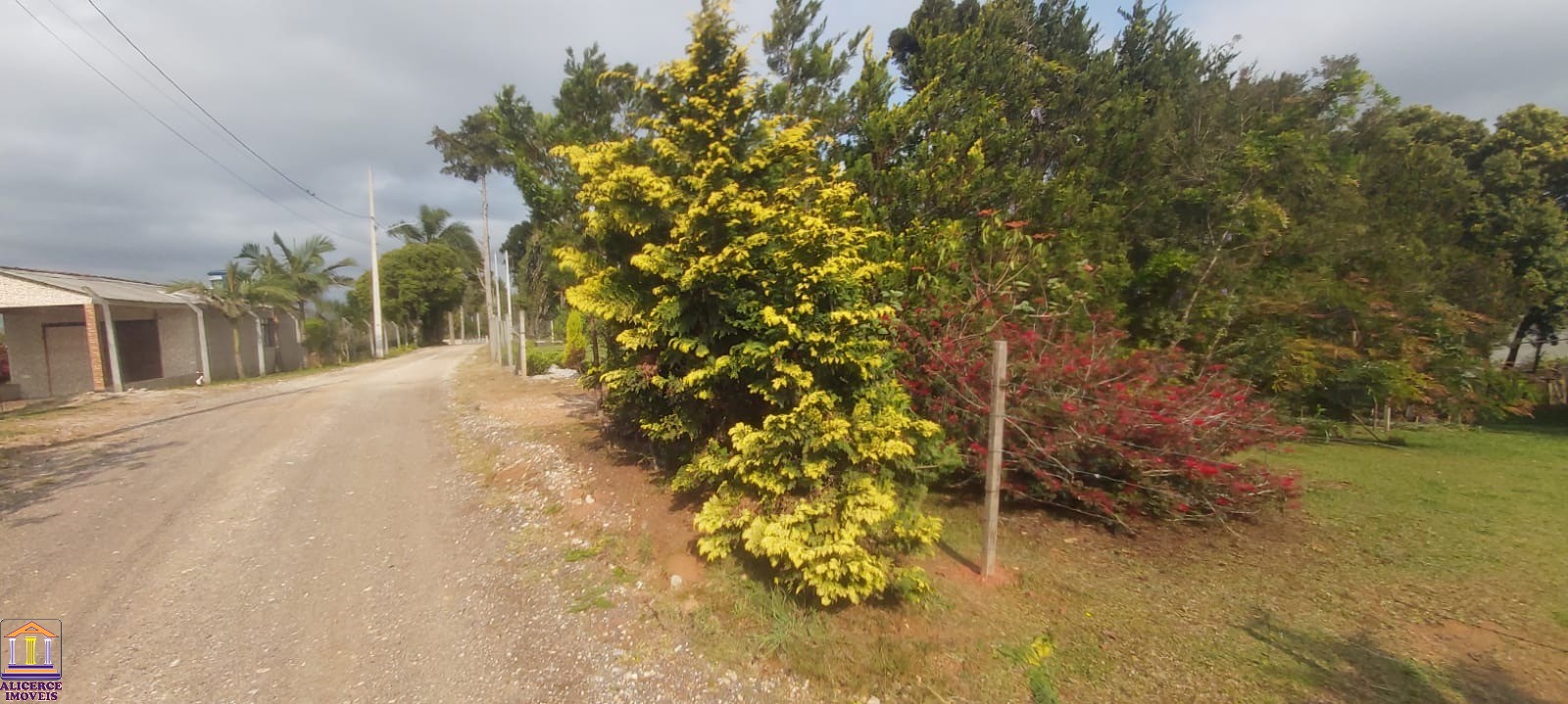 Fazenda à venda com 3 quartos, 100m² - Foto 31