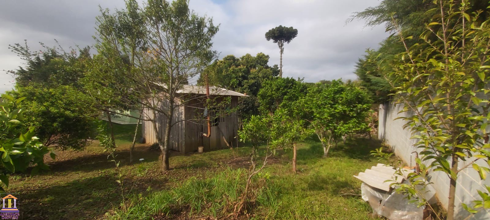 Fazenda à venda com 3 quartos, 100m² - Foto 26