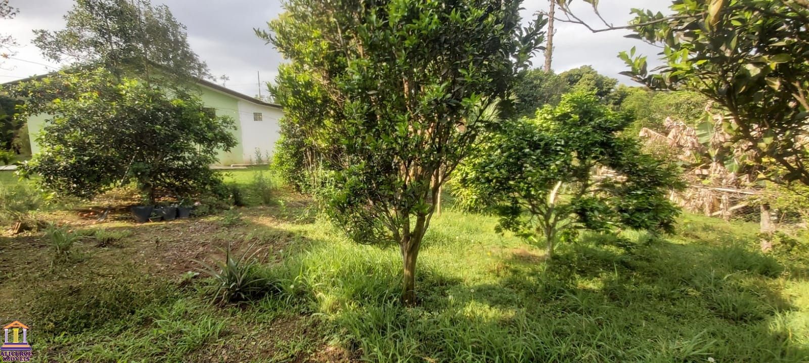 Fazenda à venda com 3 quartos, 100m² - Foto 5
