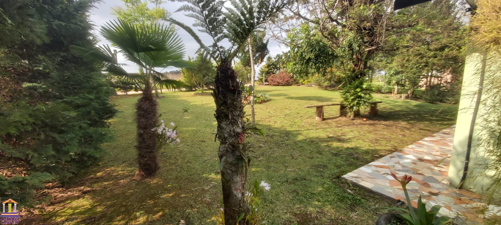Fazenda à venda com 3 quartos, 100m² - Foto 12