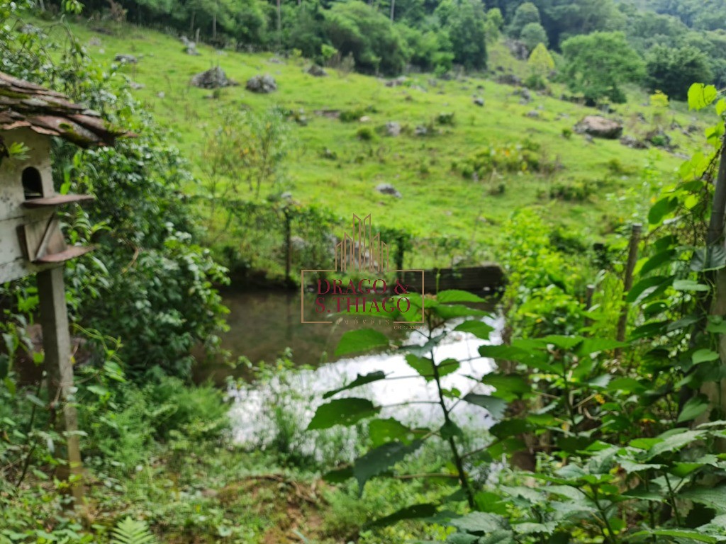 Fazenda à venda com 3 quartos, 168000m² - Foto 9