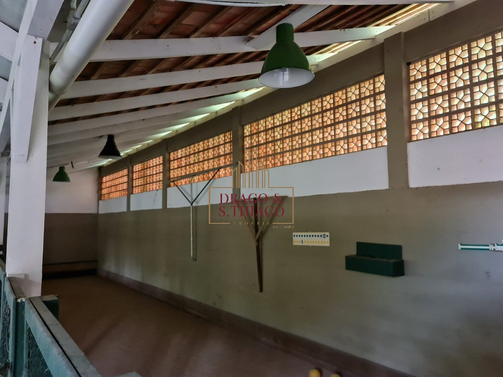 Fazenda à venda com 3 quartos, 168000m² - Foto 13