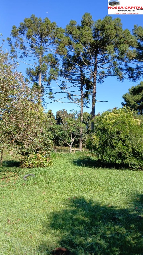 Terreno, 6000 m² - Foto 9