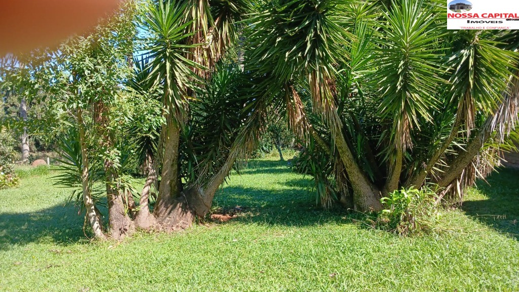 Terreno, 6000 m² - Foto 8