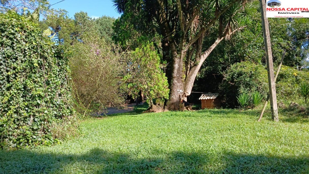 Terreno, 6000 m² - Foto 4