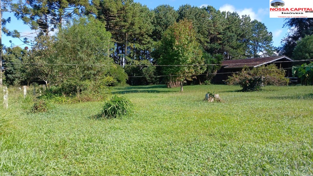 Terreno, 6000 m² - Foto 1