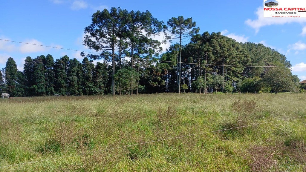 Terreno, 6000 m² - Foto 12
