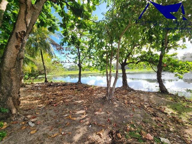 Apartamento, 1 quarto, 34 m² - Foto 36