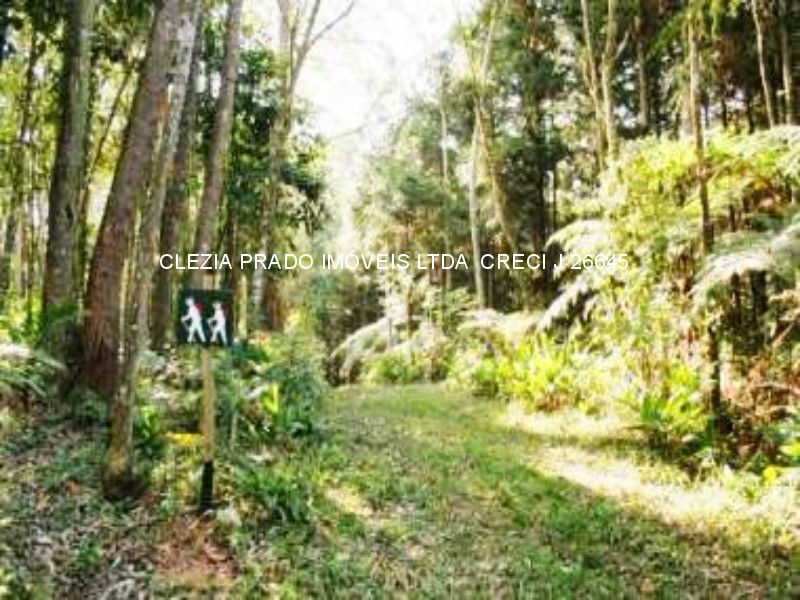 Fazenda à venda com 10 quartos, 1383000m² - Foto 4