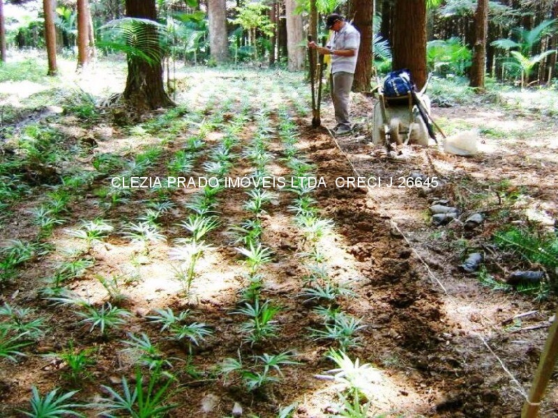 Fazenda à venda com 10 quartos, 1383000m² - Foto 15