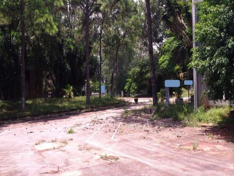 Depósito-Galpão-Armazém para alugar, 30000m² - Foto 4