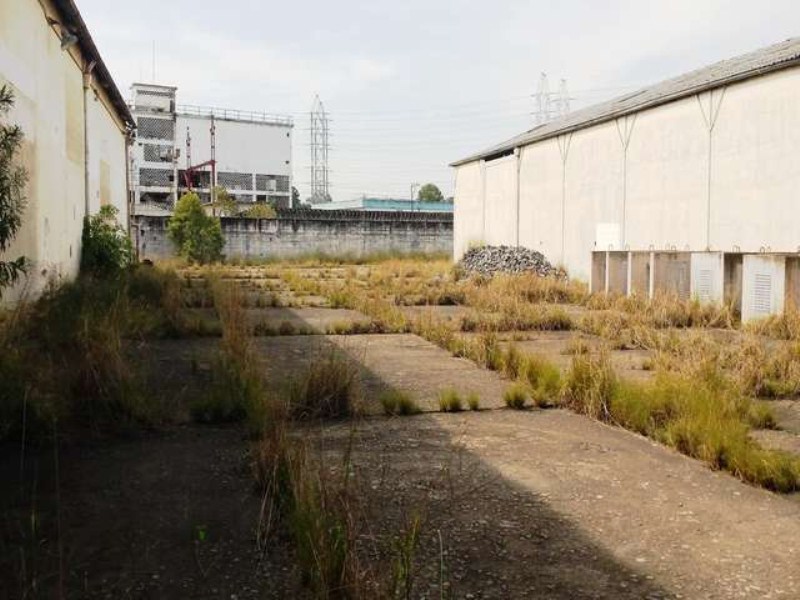 Depósito-Galpão-Armazém para alugar, 11000m² - Foto 6