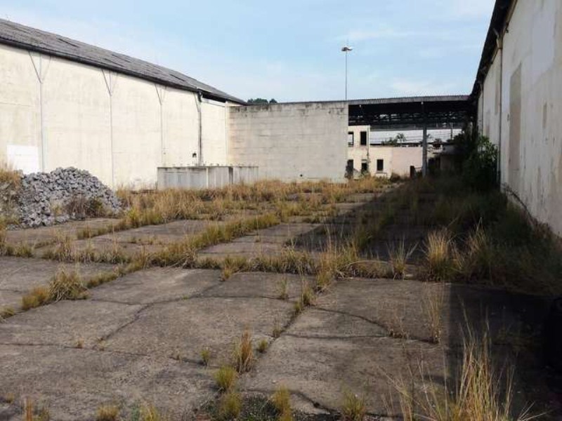 Depósito-Galpão-Armazém para alugar, 11000m² - Foto 14