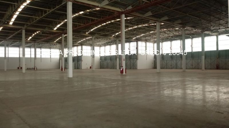 Depósito-Galpão-Armazém para alugar, 103000m² - Foto 11