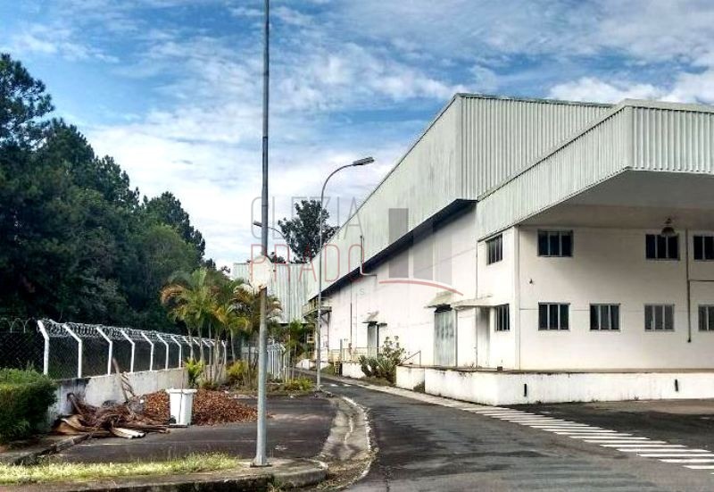 Depósito-Galpão-Armazém para alugar, 25000m² - Foto 3