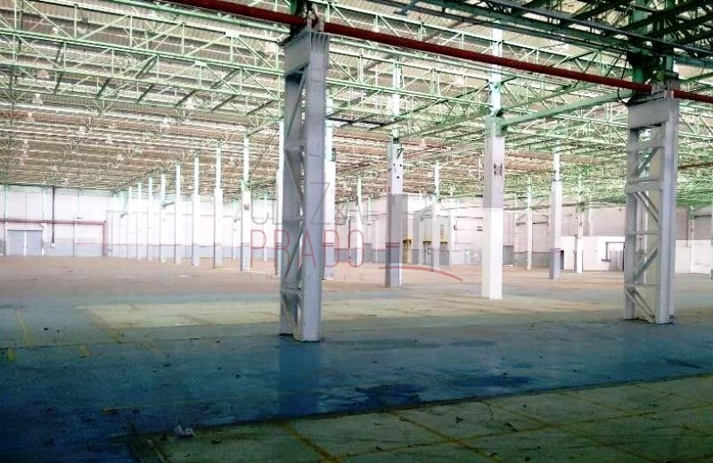 Depósito-Galpão-Armazém para alugar, 25000m² - Foto 9