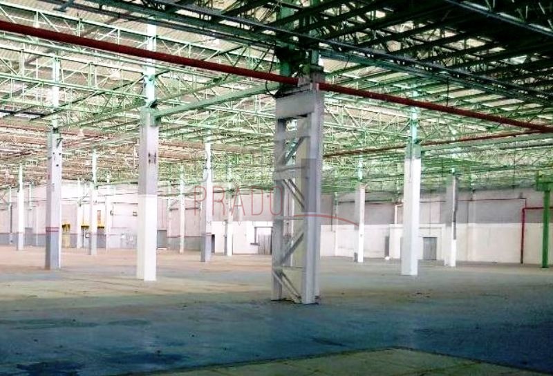 Depósito-Galpão-Armazém para alugar, 25000m² - Foto 10