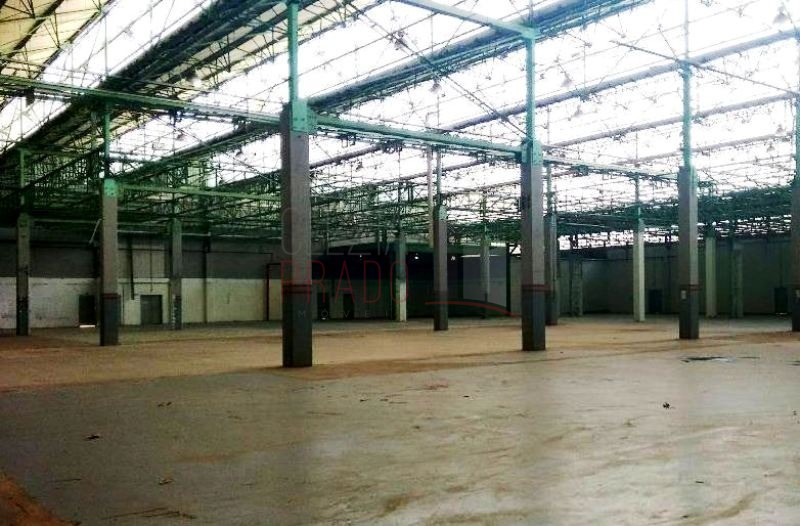 Depósito-Galpão-Armazém para alugar, 25000m² - Foto 11