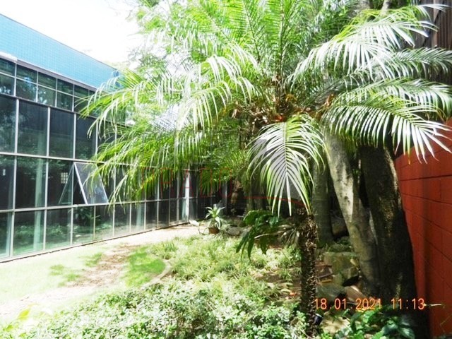 Prédio Inteiro para alugar, 711m² - Foto 13