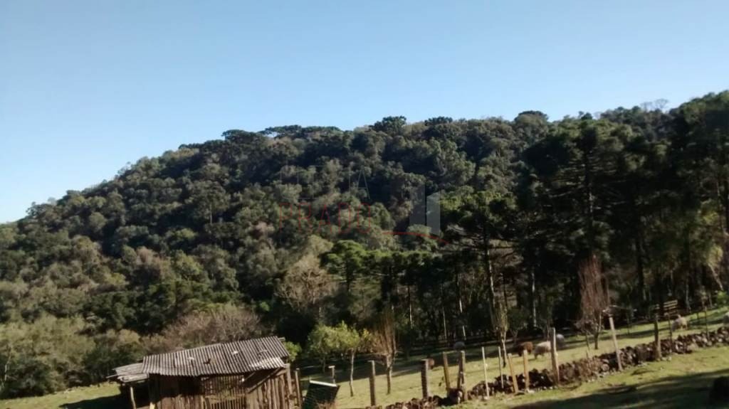 Fazenda à venda com 1 quarto, 30128m² - Foto 6