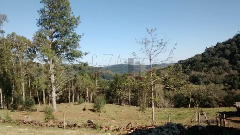 Fazenda à venda com 1 quarto, 30128m² - Foto 7