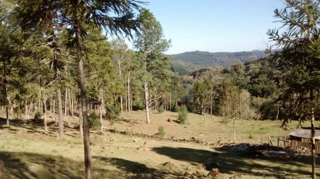 Fazenda à venda com 1 quarto, 30128m² - Foto 4