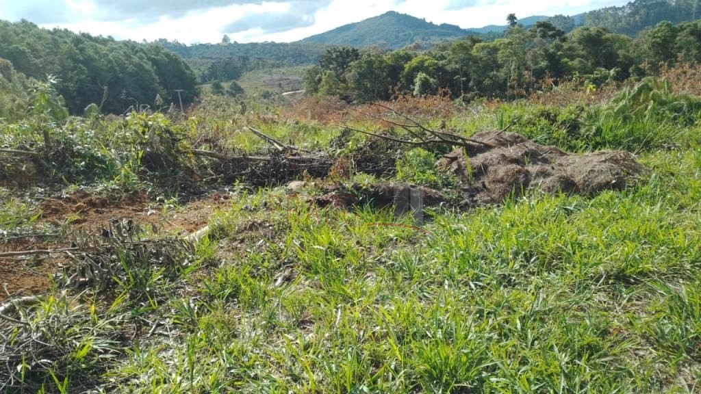 Terreno à venda com 4 quartos, 20000m² - Foto 2