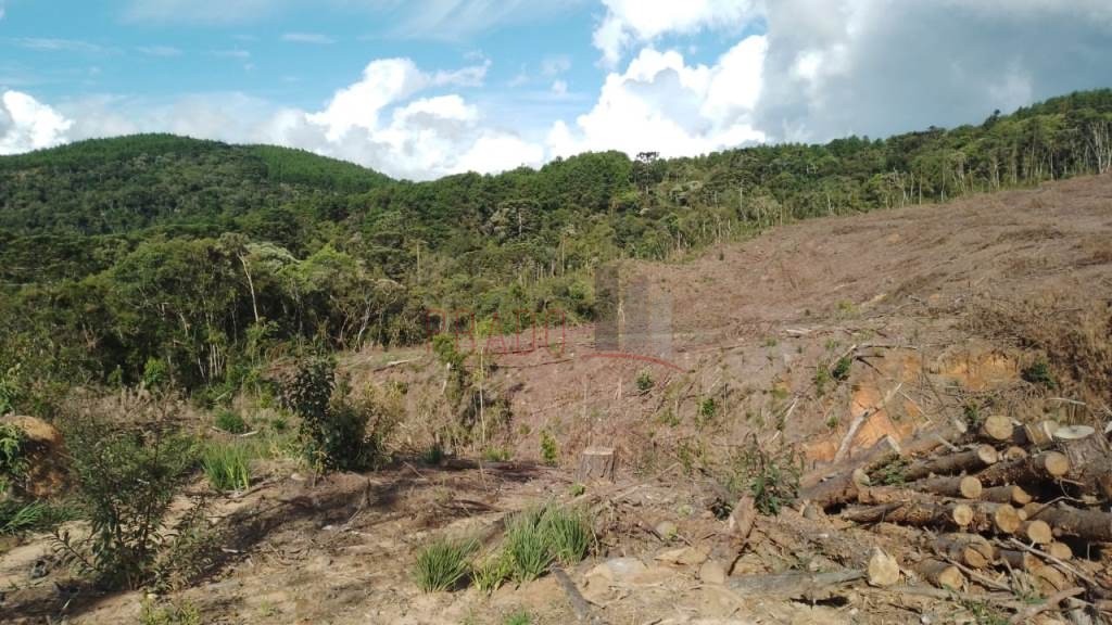 Terreno à venda com 4 quartos, 20000m² - Foto 3