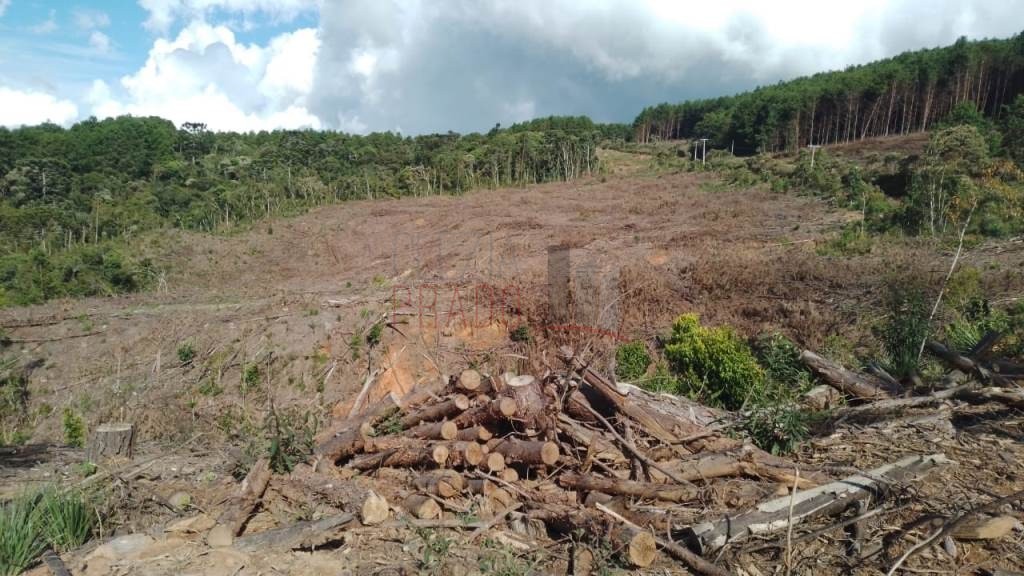 Terreno à venda com 4 quartos, 20000m² - Foto 4