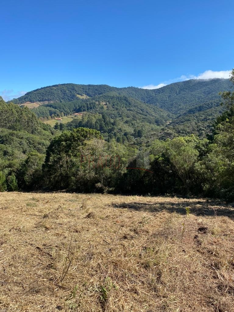 Terreno à venda com 4 quartos, 20000m² - Foto 1