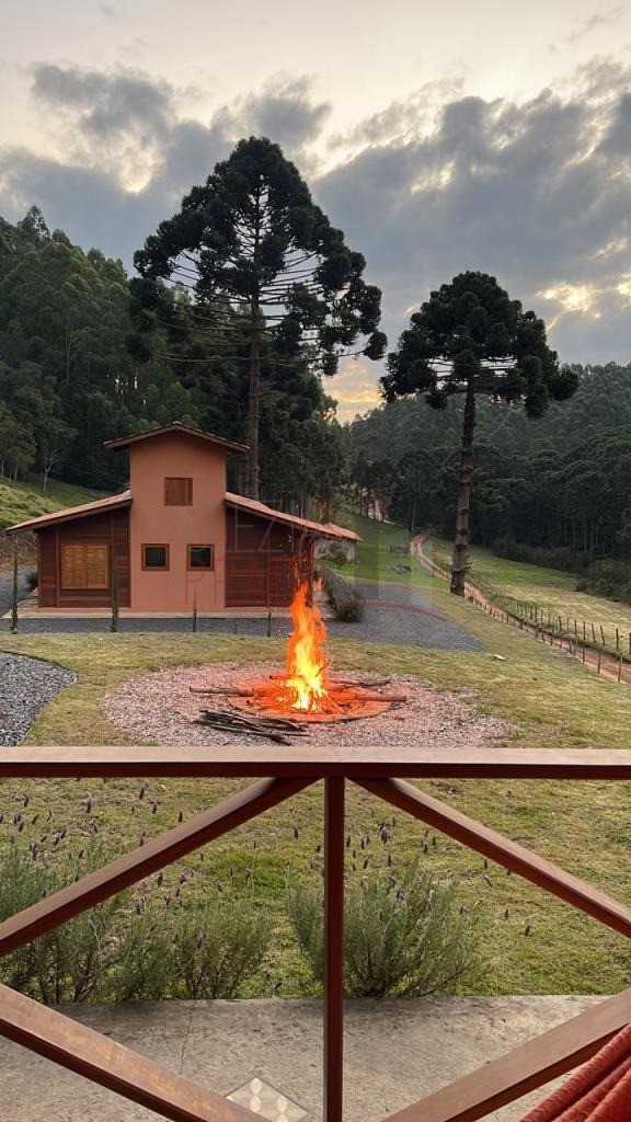 Chácara à venda com 4 quartos, 121000m² - Foto 3