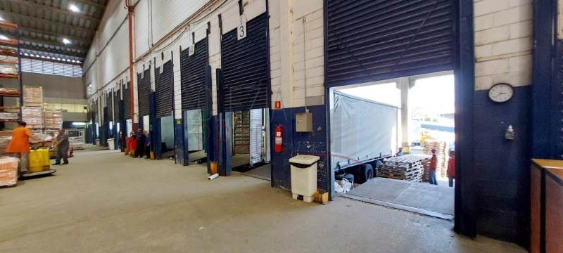 Depósito-Galpão, 6000 m² - Foto 2