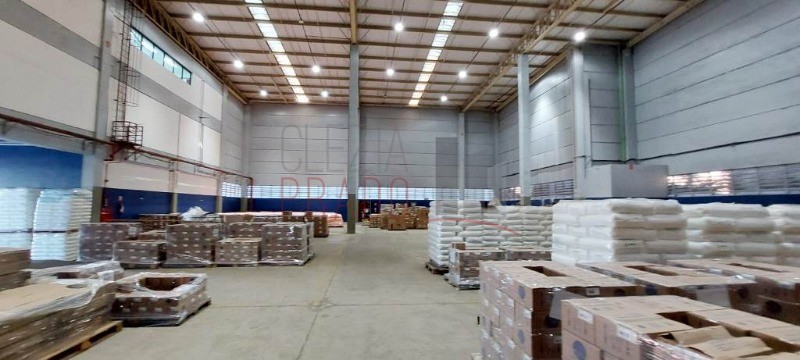 Depósito-Galpão, 4308 m² - Foto 7