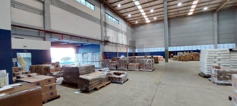 Depósito-Galpão, 4308 m² - Foto 8