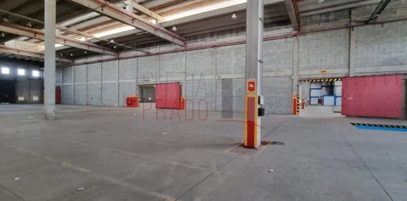 Depósito-Galpão, 12000 m² - Foto 4