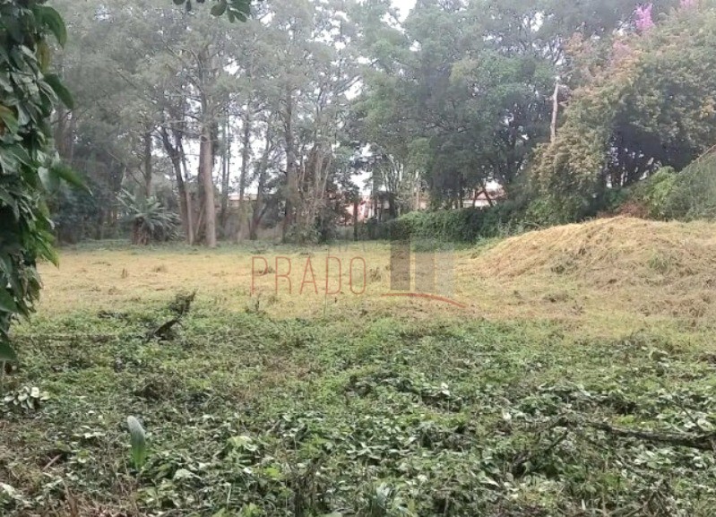 Loteamento e Condomínio - Foto 4