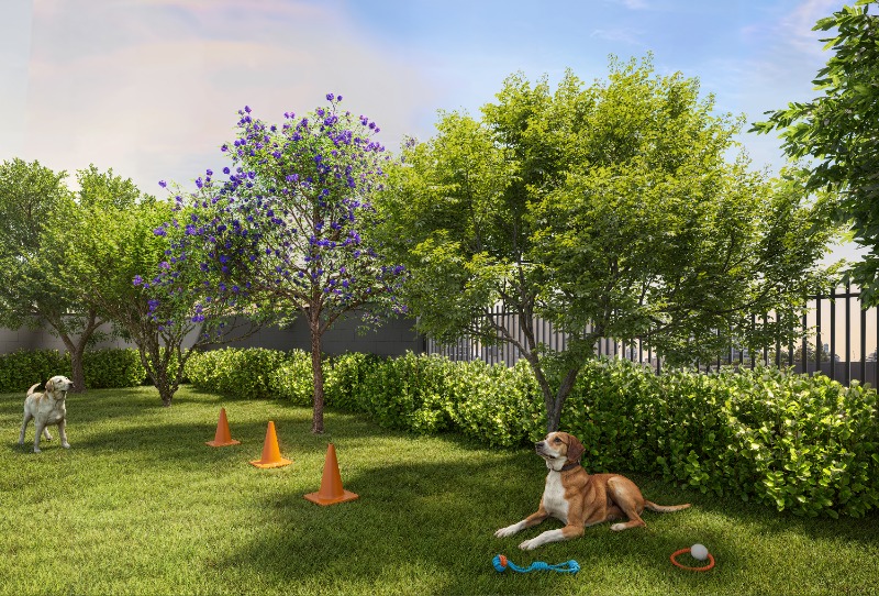 Apartamento, 2 quartos, 36 m² - Foto 5