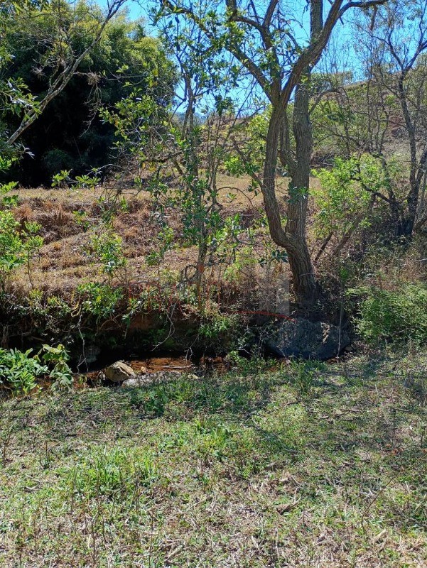 Sítio, 8 hectares - Foto 6