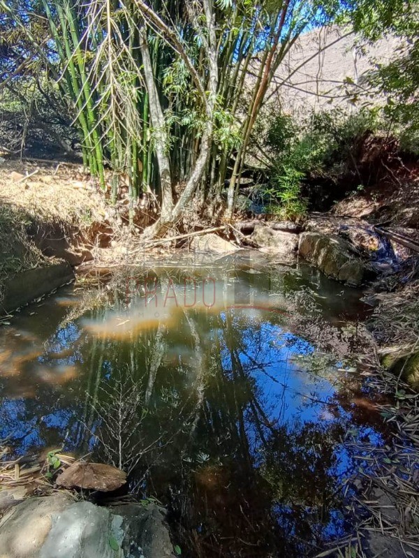 Sítio, 8 hectares - Foto 2