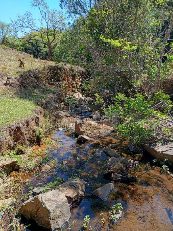 Sítio, 8 hectares - Foto 1