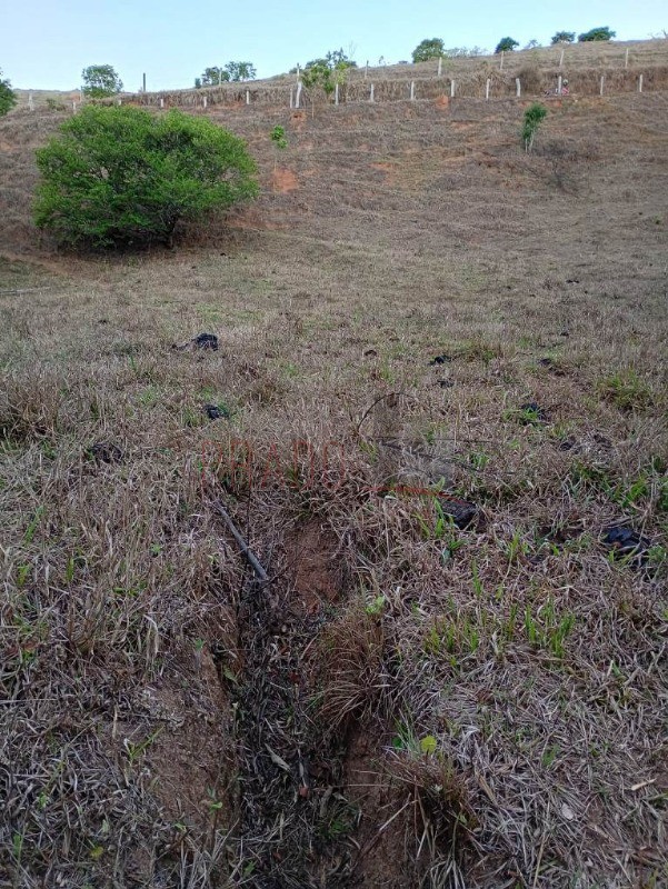 Sítio, 8 hectares - Foto 9