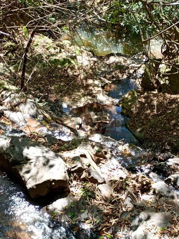 Sítio, 8 hectares - Foto 3