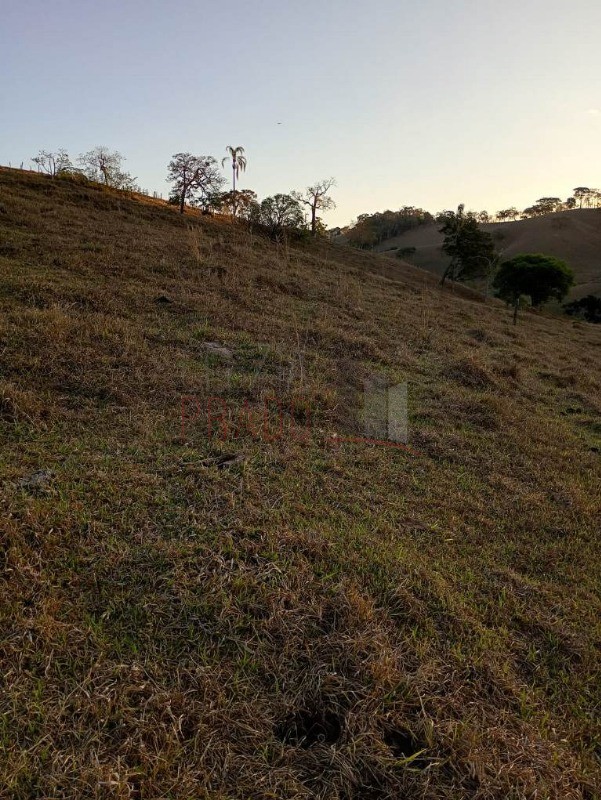 Sítio, 8 hectares - Foto 13