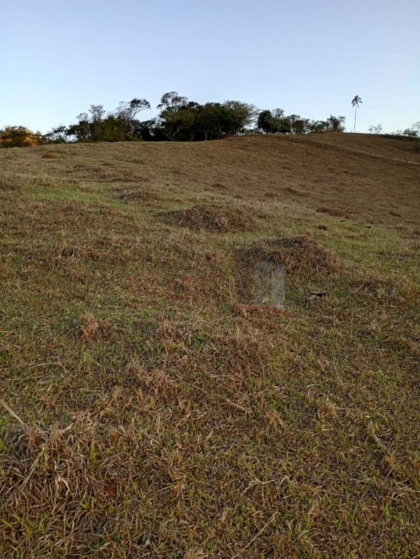 Sítio, 8 hectares - Foto 11