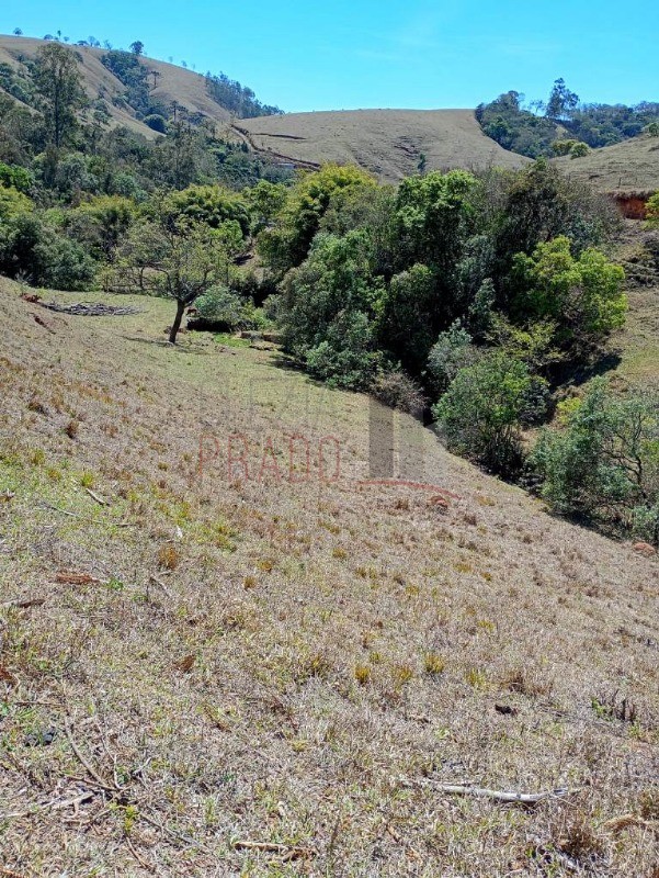 Sítio, 8 hectares - Foto 4